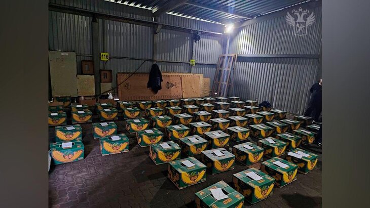 ��������� ����������� ������� � ������ ���������� ����� 20 ���� ������