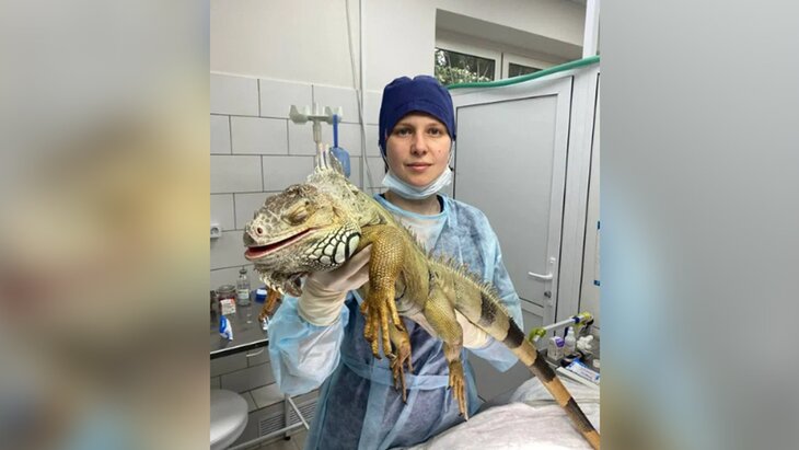 ���������� �������� ������ ������, ��������� ������ �� ����� ����� � ��������