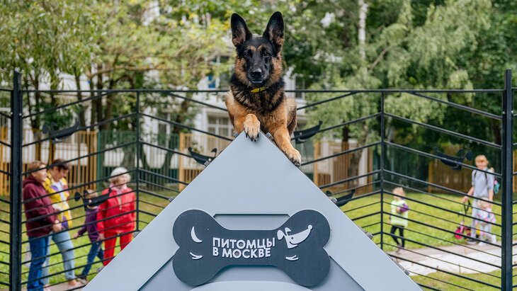 ����� 20 �������� ��� ����� �������� � ������ ������� "������� � ������"