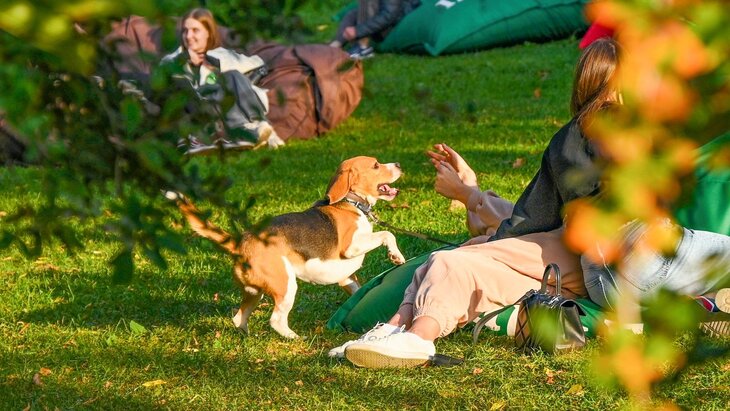 ������� ���������, ����� ������ ����� ������� ������� �� ������