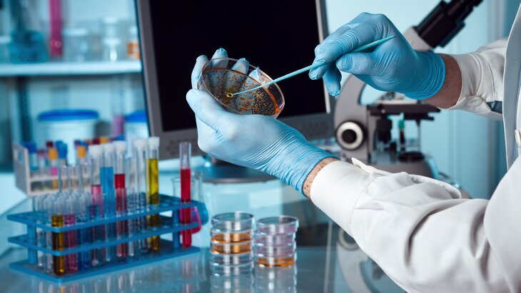 ���� ���������, ��� ����������� ������������ ������� �� �������� ����� �������������