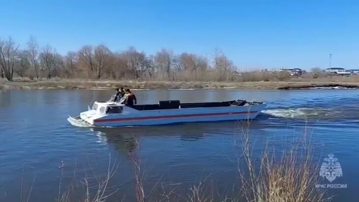 ������� ���� � ���� � ������ ����� ����� �� 462 �����������