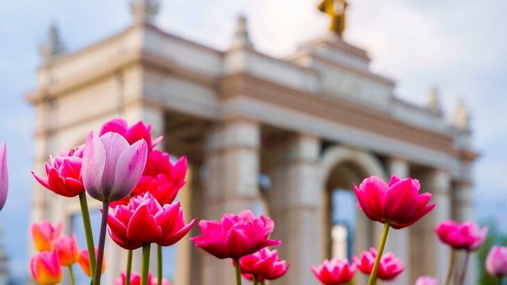 � ������ �� ���� ������ ������ ����� ������������ ��������, ��������� � �����