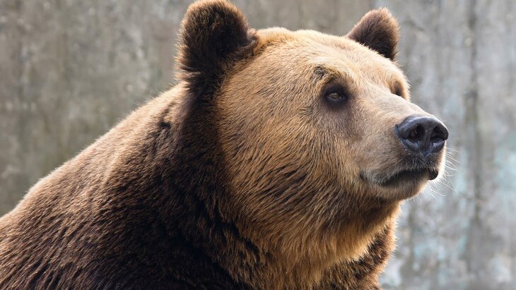 ������� ���������� �� ��������� � �������� ������ �����