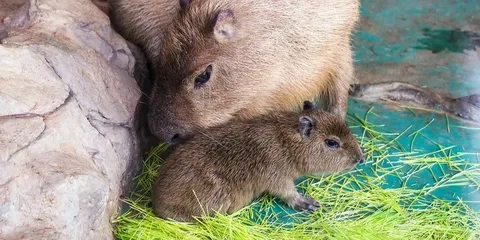 �������� �������� � ��������� ������� �������� � ���������� ��������