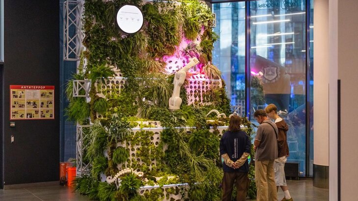 ������� ���� � ����� ����: ����� �������� ����� ������� ��������