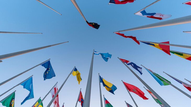 ������ ��������� ��������� ������� ��� �� ������� �� 31 ����