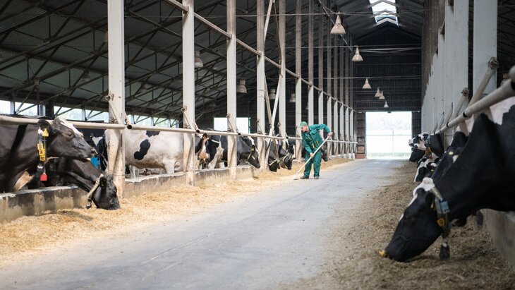 ����� �� ������ � ������������� ������� ��-�� ������� ��������� ����� �����