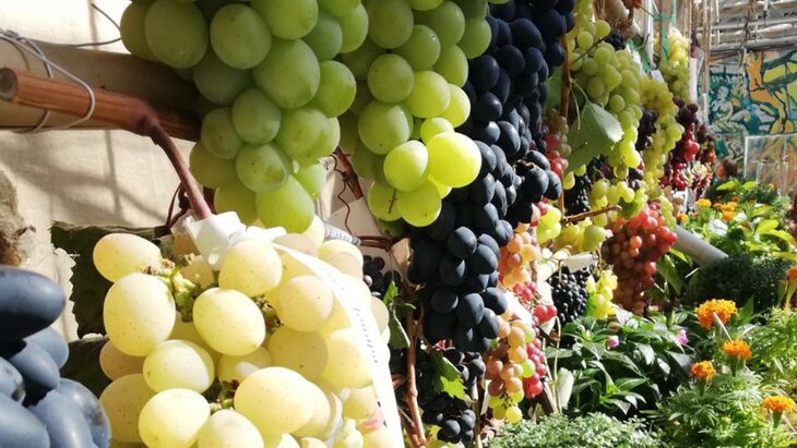 �������� ��������� � ����������� ��������� � "����������� �������" 20 ��������