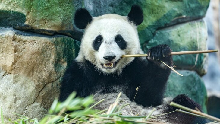 ����� ������ � ���������� �������� ����� ����� ����������� ����������