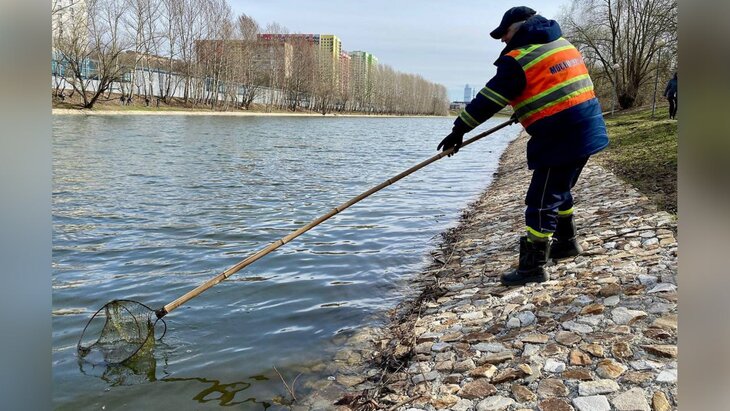 ����� 260 ������ ���������� � ������ � ������� ������