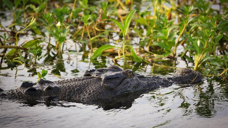 ��������� ������� ������� �� ����� �������� �� ����� �� ������� � ���