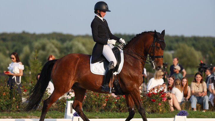 ������������� ��������� ������� ������ ��������� ������� �� ��������� ��������