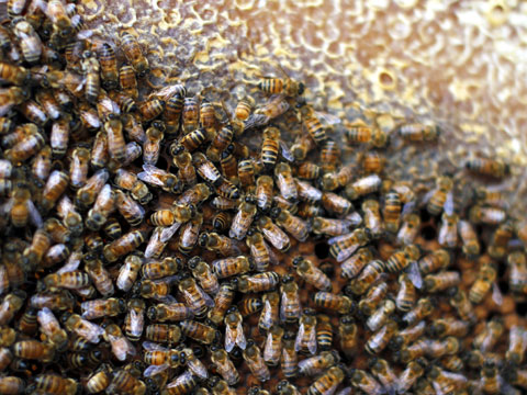 ���������� ��� �������� ���������� ������ �� �������������������� ��� ����