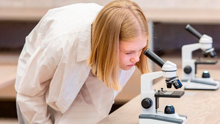 ���������� ������� ������� � "�����������" �� ���� � ������� ��������