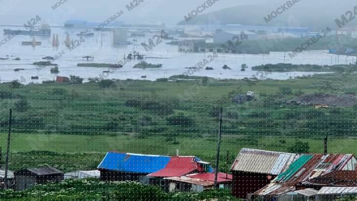 ������ ������ �������� �� ��������