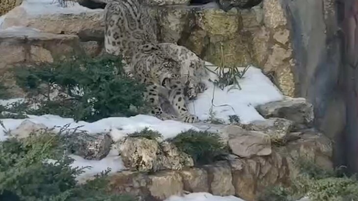 ���� ������� ������ �� ����������� �������� ������ ����������� � ����� �������