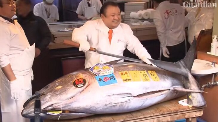 � ������ ������� ����� ������� ���� � ���� �� 253 �������� ������