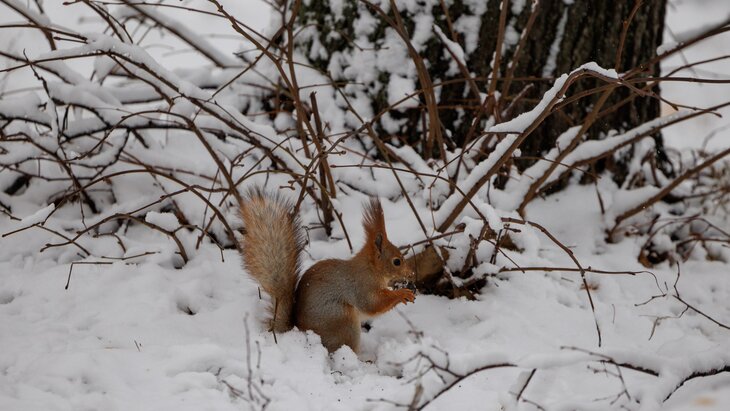 ��������� ���������� �������������� � ����� ����� � ��������� ����