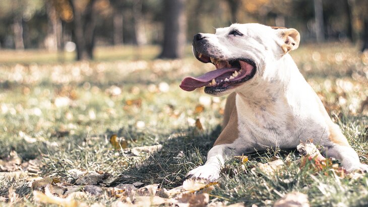 ������� ��������, ��� ��������� ������� ���� �� ������������