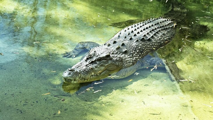 ��������� ������� �� ���������, ����� ��� � ����� � ���