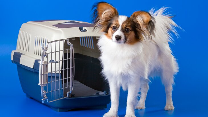 ����������� ������ ������ ���������� � ���� ���� ������ ��� ������ � ��������� ���������