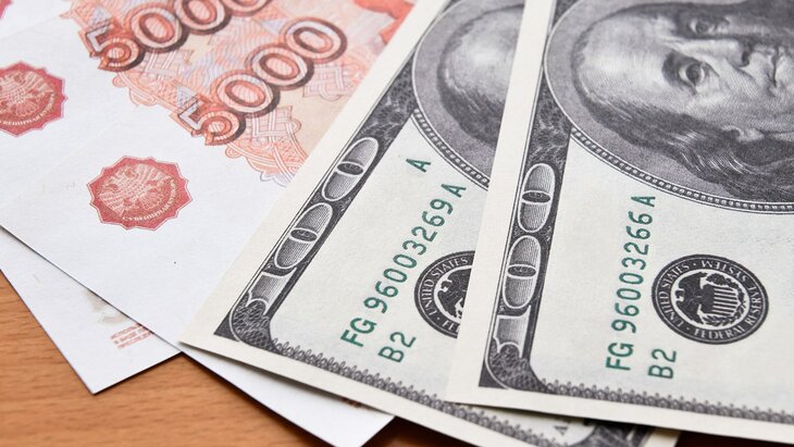 ����������� ���� ������� �������� 84 �����