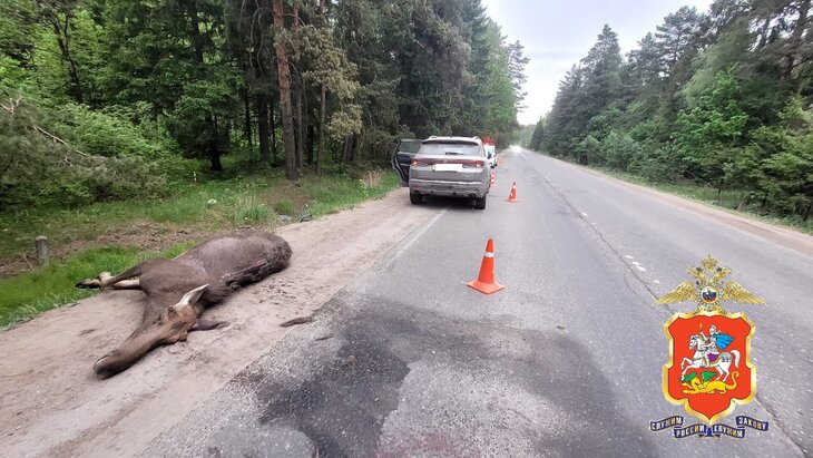 ���������� ���� ���� � ������������ ����-��������