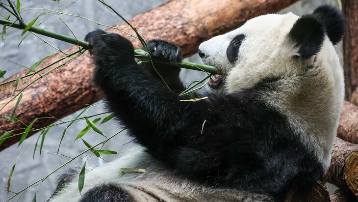 ������ ������ �������� � ������ � ����� ������