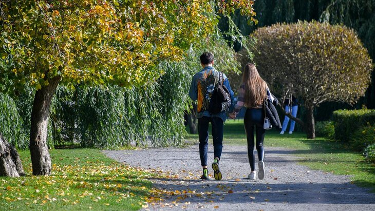 ����� ���� �������� � ������ �� ��������� ������