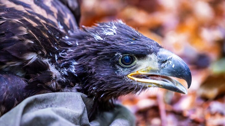 �������� ������� � ���� ����� ����� ������ � ���������� � ������ � 2025 ����