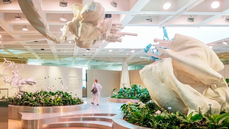 ����� ���������� ��������� ����������� �� ���� ����� ������� ��� ������