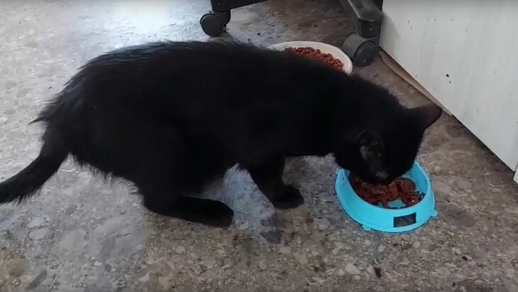 ���������� �� ������ ��� ����� ��������� � ������ � ������� ������