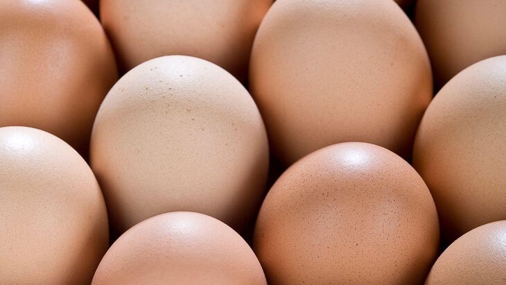 ������ ������� ����� �������� ������ ������������� ���