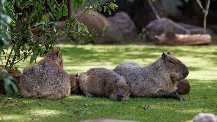 ����� ������� �� ����������� �������� �������� � ��������� "����� � ������!"