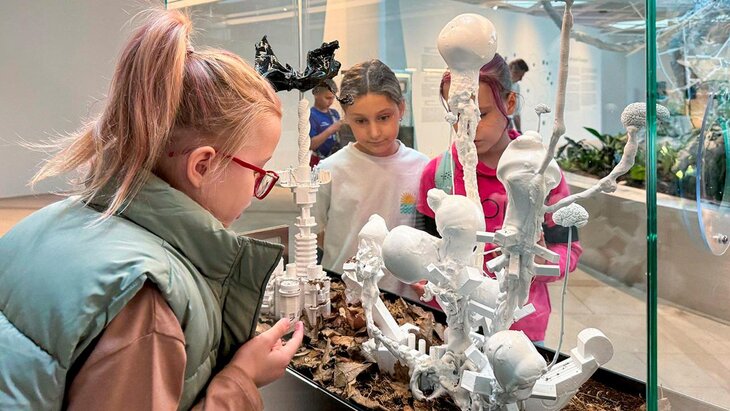 ������ �������: �� ���� �������� ������ � ������ ����������