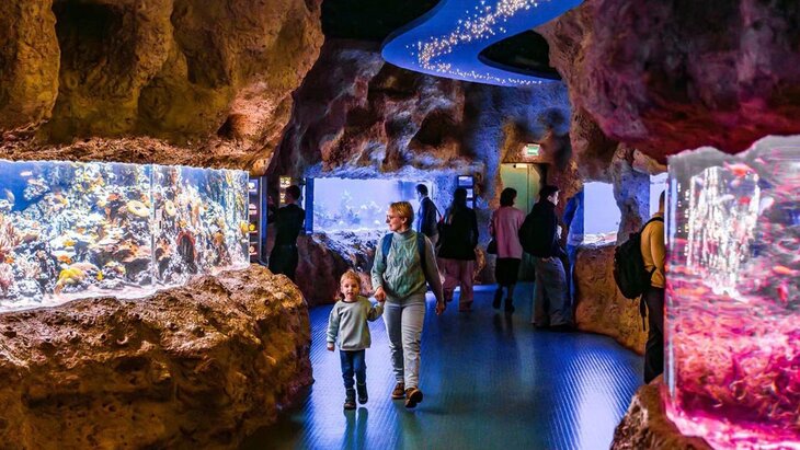 "����������" �������� ��������� � ����� ������ ������ � 8 �� 10 �������