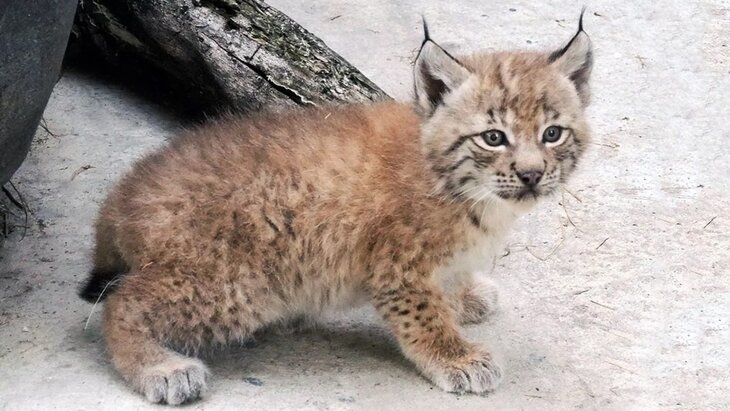 ����� 200 ��������� ��������� � ���������� ����������� �������� �� �������