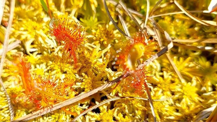 ������������� ������������� �������� ������� � ������