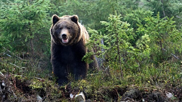 ������� � ������ ��������� ������� � ����� ����� �������