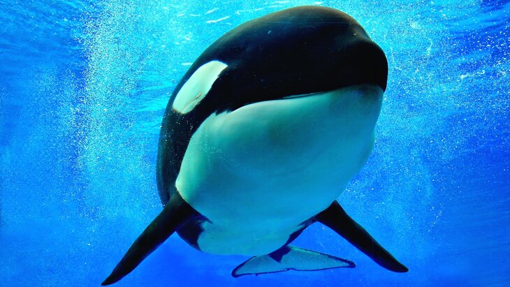 ������ ������� �� ���������� ��������� ����� ������� � �������