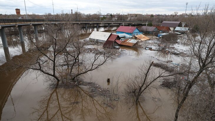 � ��������� �� ����� ��������� 1 ������ �������� � 1 ������ �����