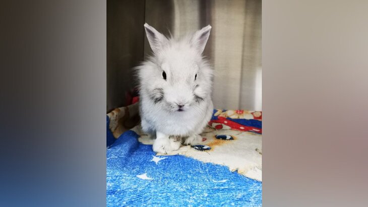 ���������� ������ ������ �������, ������� ��-�� ��������� �� ��� ���� � ����