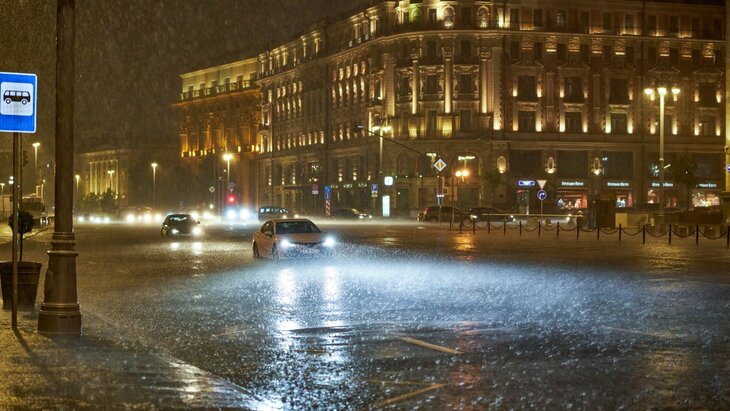 ����� ������� ������ � ���� �� 14 �����