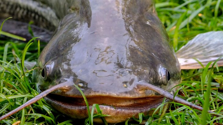 ������� ������ ���� ����� 47 �� � ����� 20-������ ������ � ���