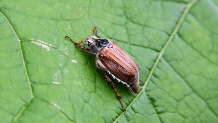 ������� ���� ����� ���������������� ������ ����� ��-�� ������ ����� � ������