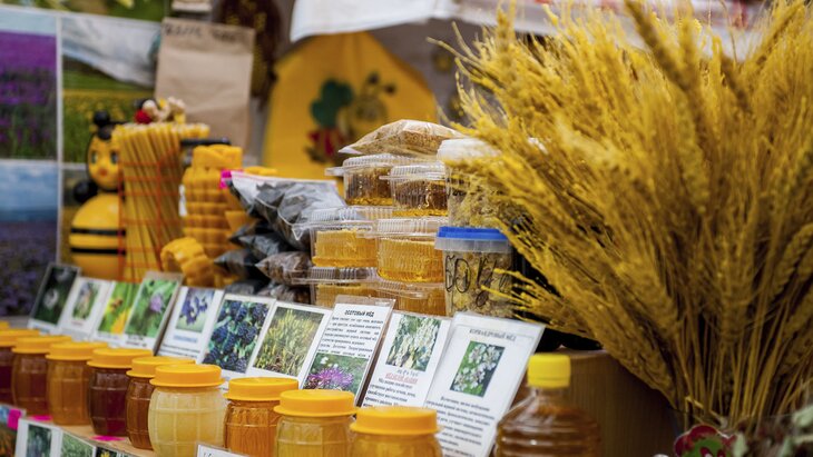 ������ ������ �������� �� �������� ������������� ������� ���� � "�����������"