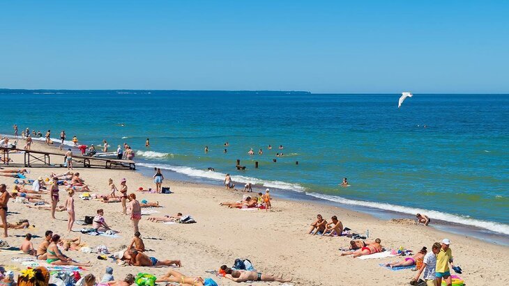 � ������������� ������� ������������� ������� �� ���������� ������ � ���� � �����