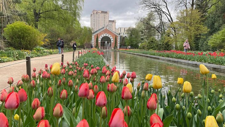 "����������� ������" �������� �� ������ ����� ������ � 1 ���