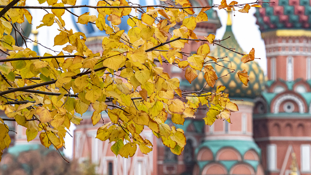 ����������������� ����� �������� � ������ �� ������ �������� ��������